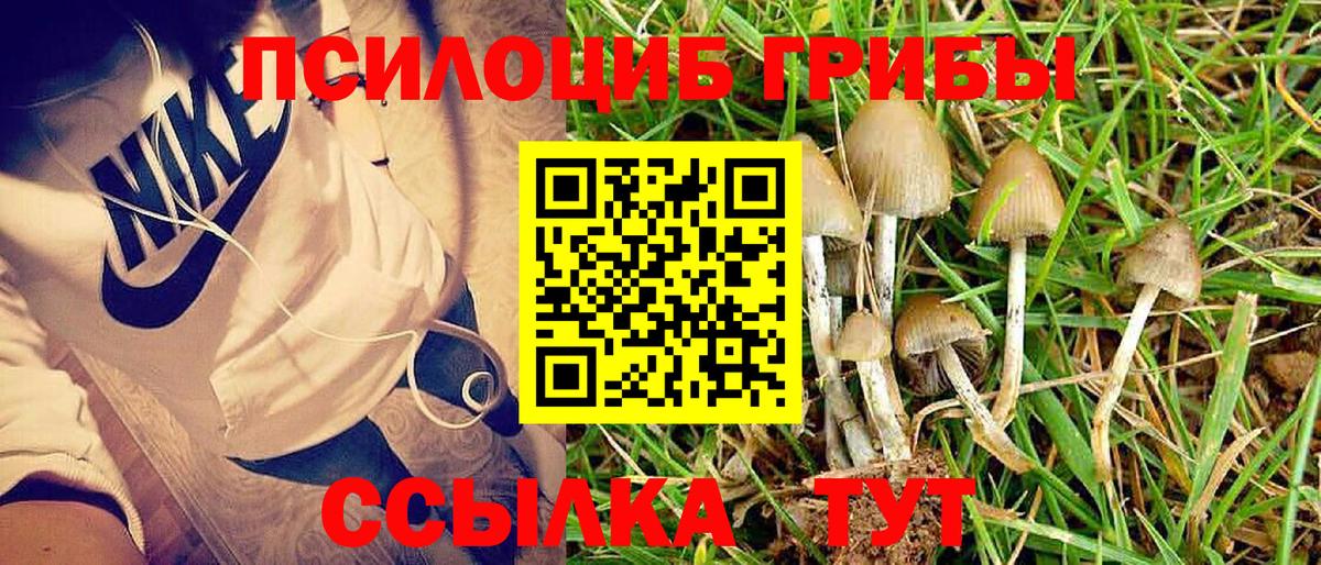 Метадон Жигулёвск