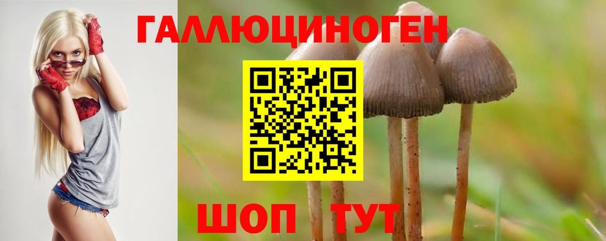 Жигулёвск  Псилоцибиновые грибы ЛСД  Вход с VPN  Галлюциногенные грибы Magic Shrooms 